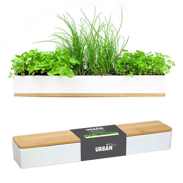 Urban Greens Windowsill Grow Kit - Microherbs 1 kit